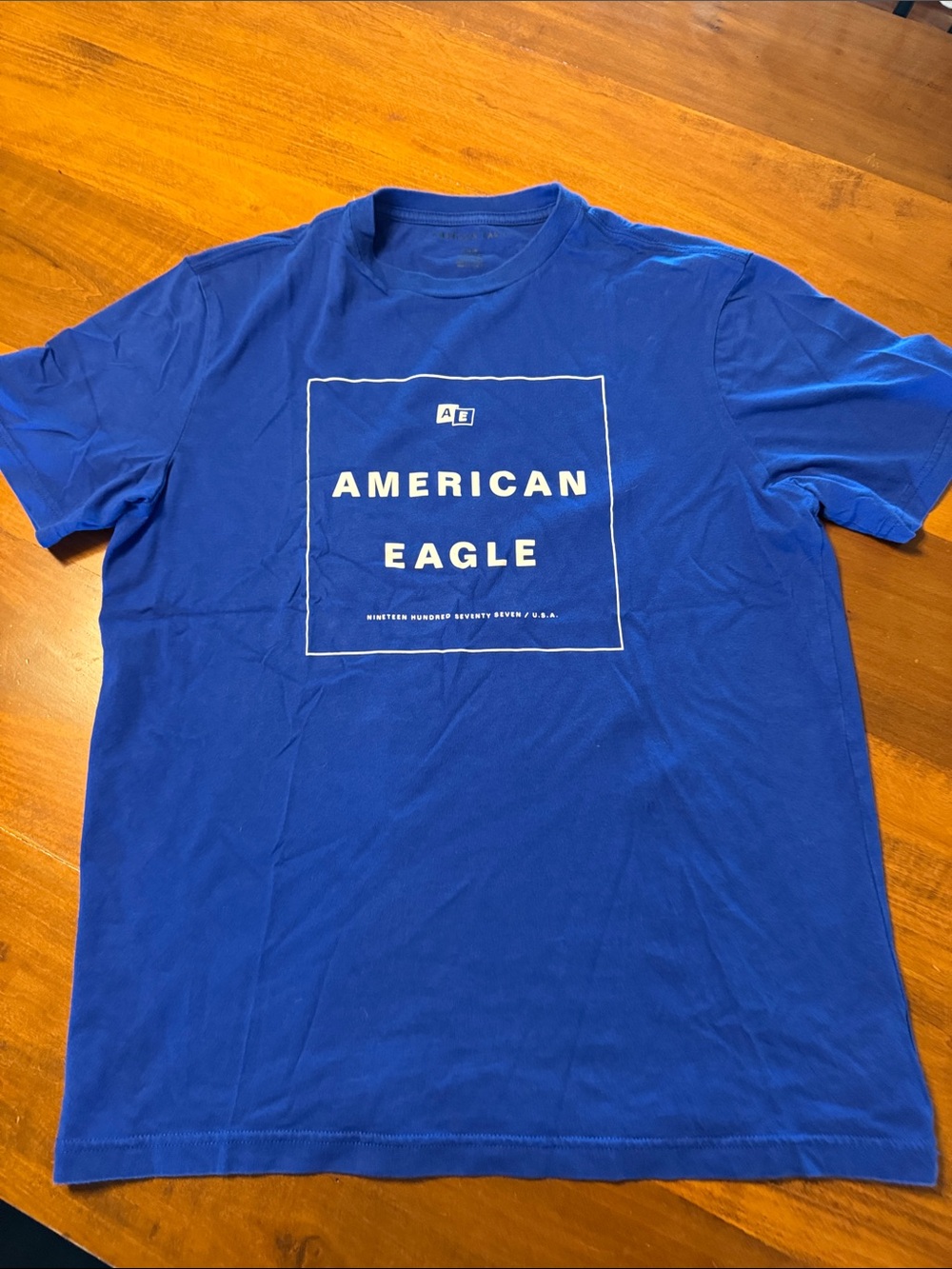 American Eagle Outfitters Blue Logo Graphic Tee